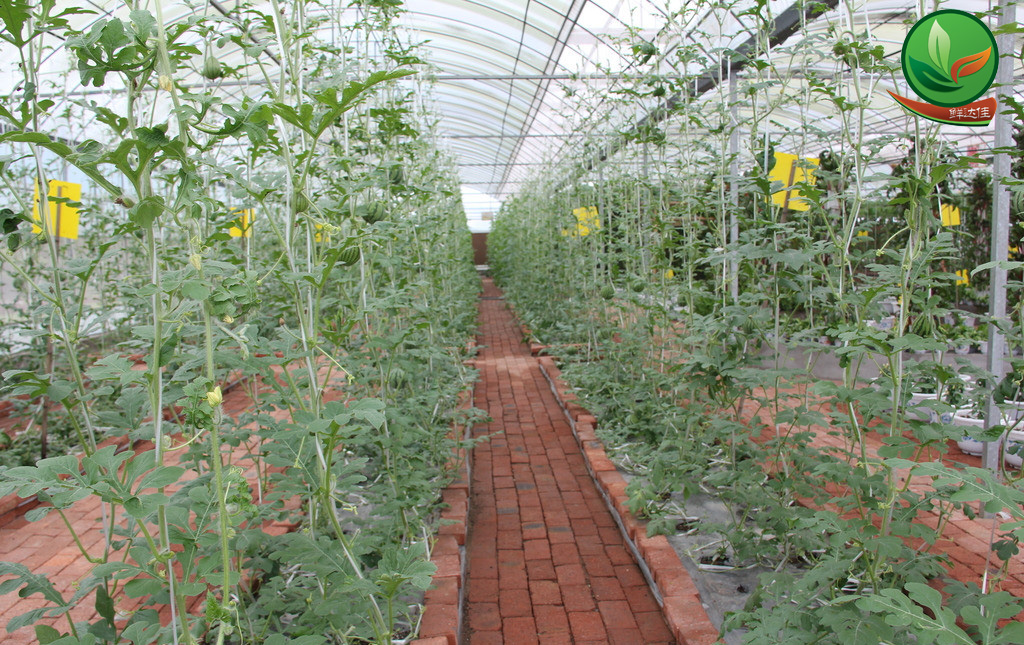 羅定農業(yè)生態(tài)園